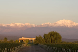 lujan_de_cuyo_mendoza_argentina