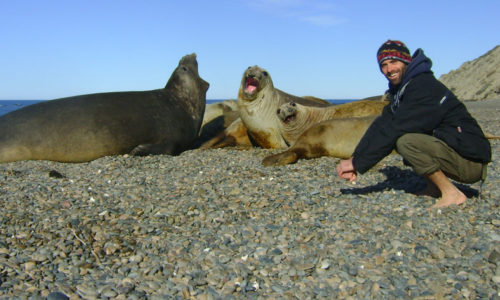 054-054online-elefantes-marinos-punta-ninfas-puerto-madryn-chubut-argentina-2-11