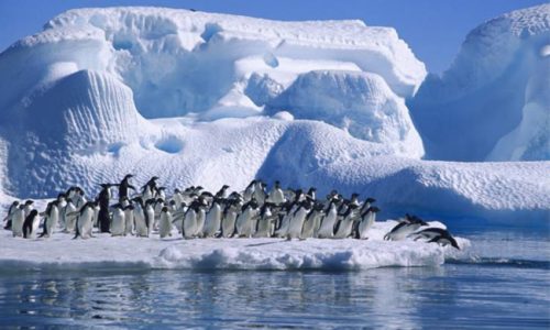 elcalafate