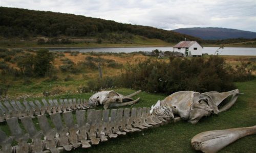 estancia-harberton-ushuaia-1