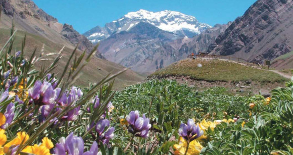 central-argentina